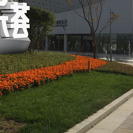 相機(jī)品牌<a href=