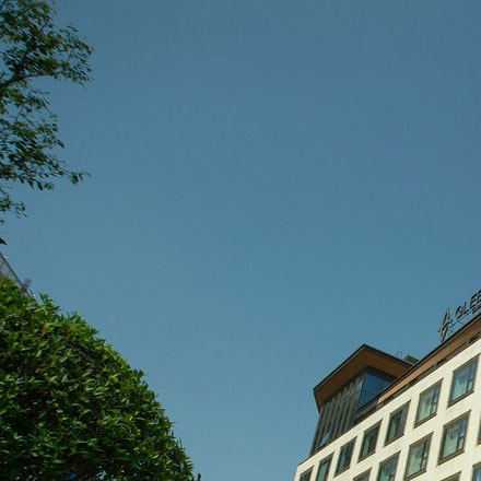 個體 vi設計公司的案例