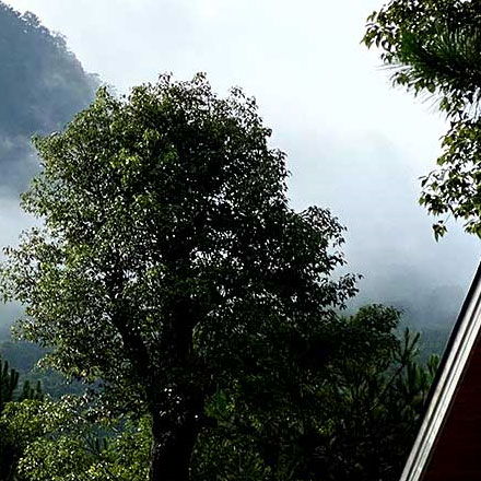 江山公司的vi設(shè)計公司