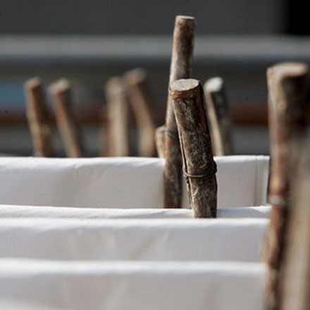 公司整體標準化vi設計一期