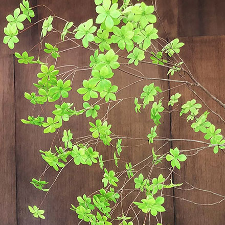 如何利用餐飲網(wǎng)站的SEO來提高搜索排名?